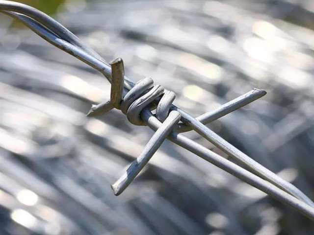 Barbed Wire