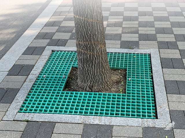 Tree Pit Cover